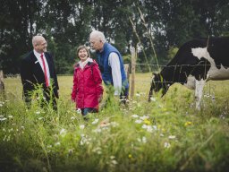 Natur-Blumenwiese Bislicher Inseln Xanten 0624
